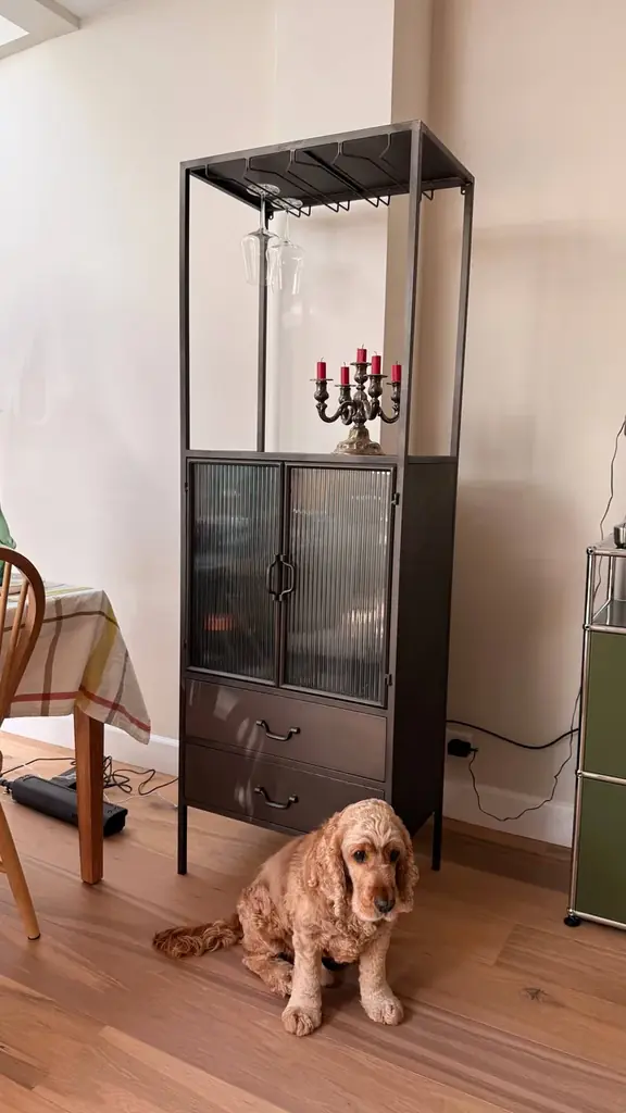 Металлический шкаф-витрина в индустриальном стиле — 100€