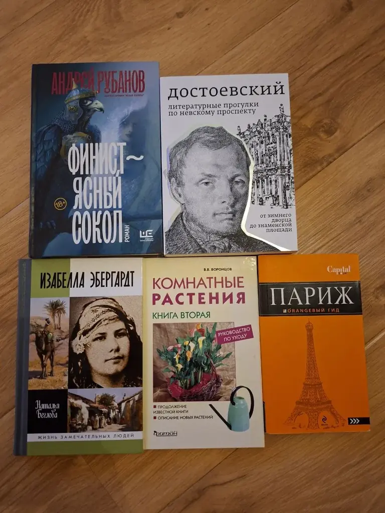 #продажа А. Рубанов "Финист - ясный сокол", твердый переплет, 20 евро; Б. Тихомиров "Достоевский. Л…