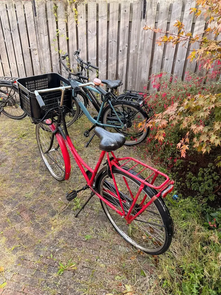Продам простой omafiets, цена 20 евро, забирать в Алмере