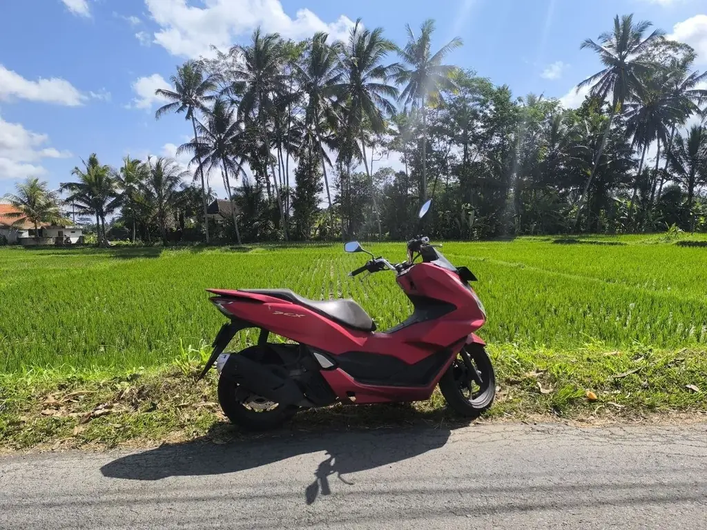 Продаю свой байк Honda PCX 2023 ABS Mate Red😇