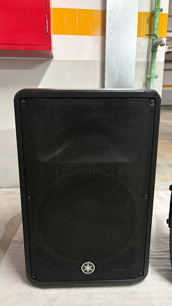 Yamaha DBR15 — 800 € за пару