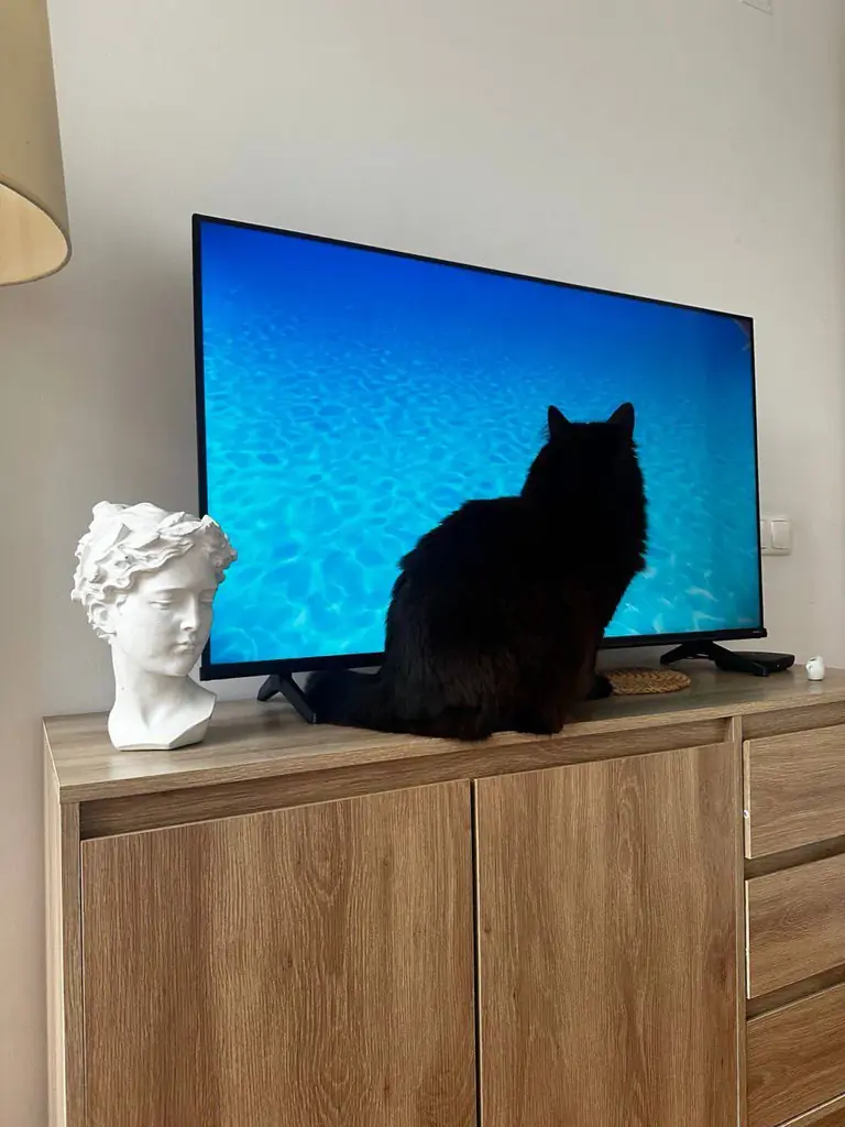 Smart TV Hisense 43" UHD 4K 43A6K 109cm. Небольшой телевизор с сочной цветопередачей и всеми необхо…