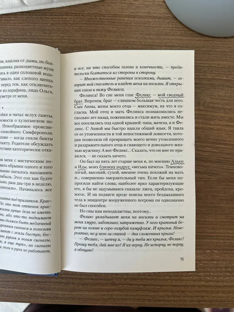 Кристина Старк «Крылья». Внутри по ходу книги есть пометки, на втором фото пример.