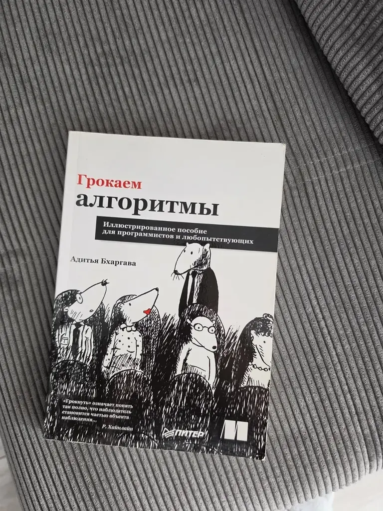 Книга для айтишников "Грокаем алгоритмы" 🖥