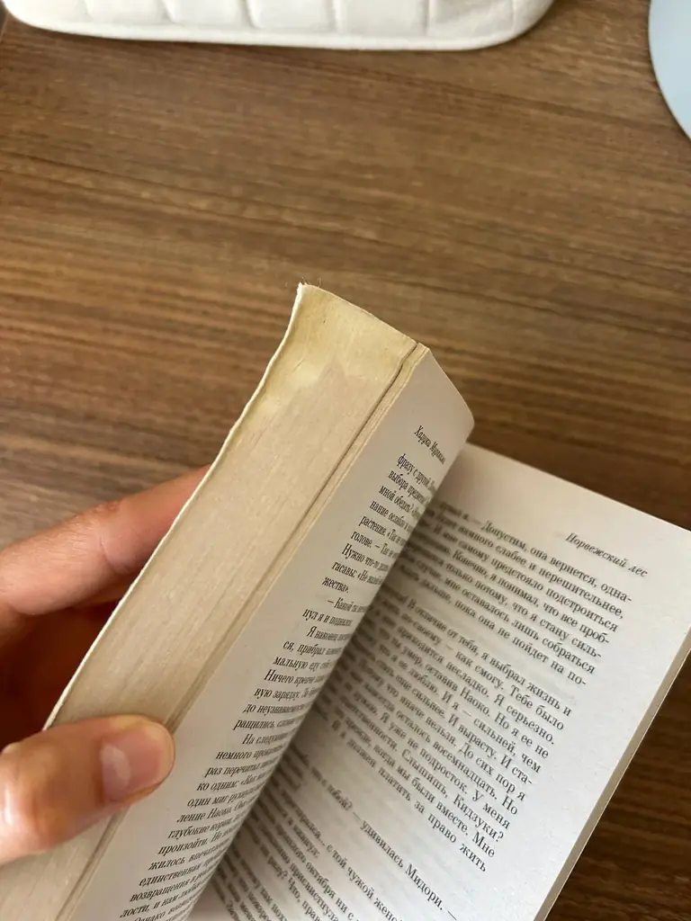 Харуки Мураками «Норвежский лес». Внутри по ходу книги есть пометки, край промок однажды, на фото п…