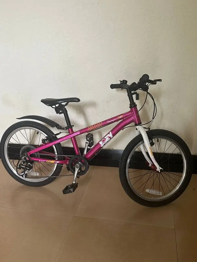 Детский велосипед Joey Thumper 20R8 🚲