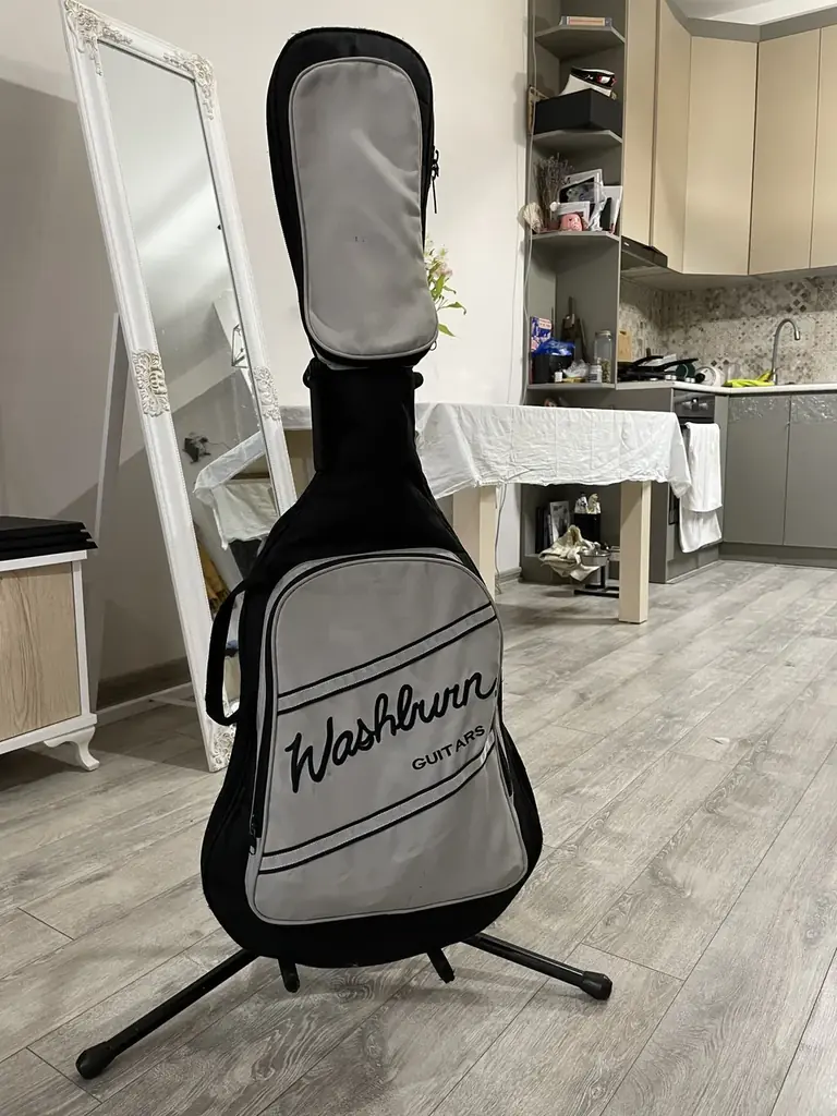 Электрогитара: Washburn Pro X10 (Stephen Jensen Custom Model)