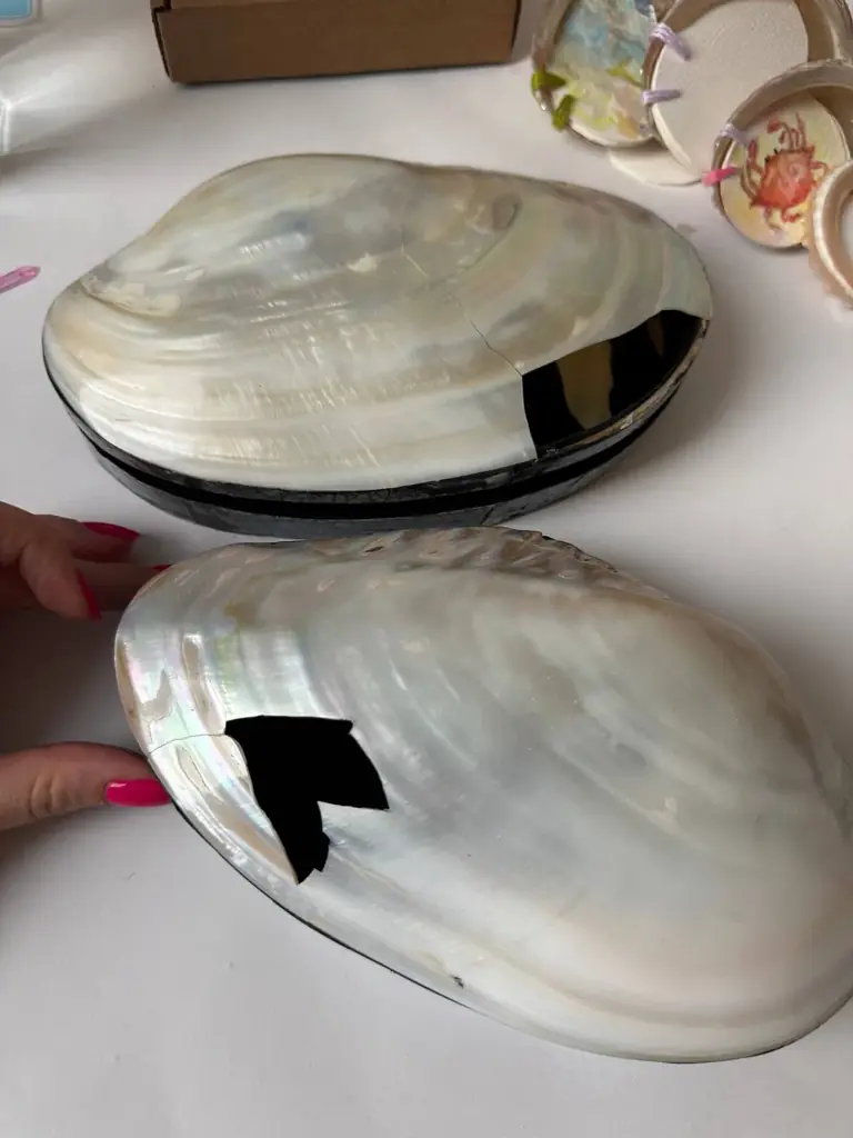Шкатулки из ракушек🐚🐚,
