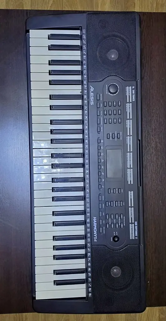 Портативный электронный синтезатор Alesis Harmony 54.