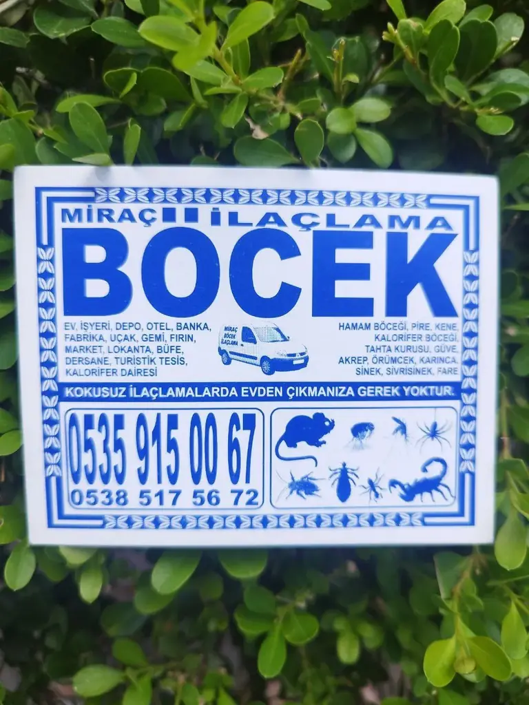 Assalamu Aleykum Pest Control Klap Tarakan örkamchek Tockroach, постельные клопы и все виды борьбы …