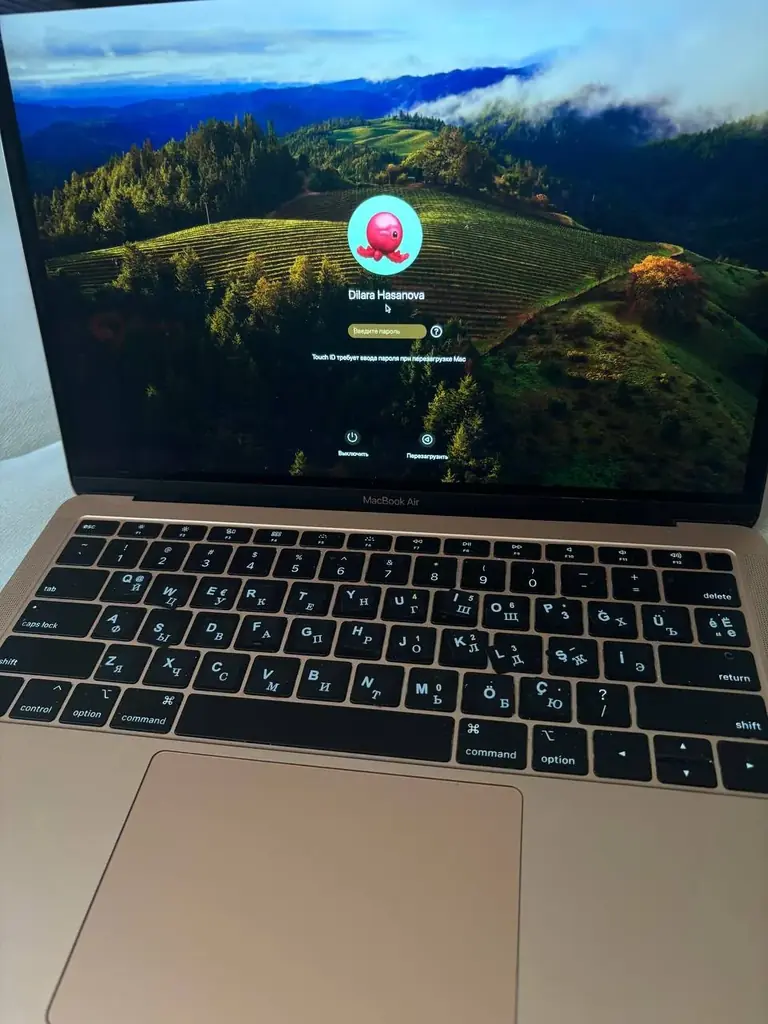 MacBook Air 13” (2019)
