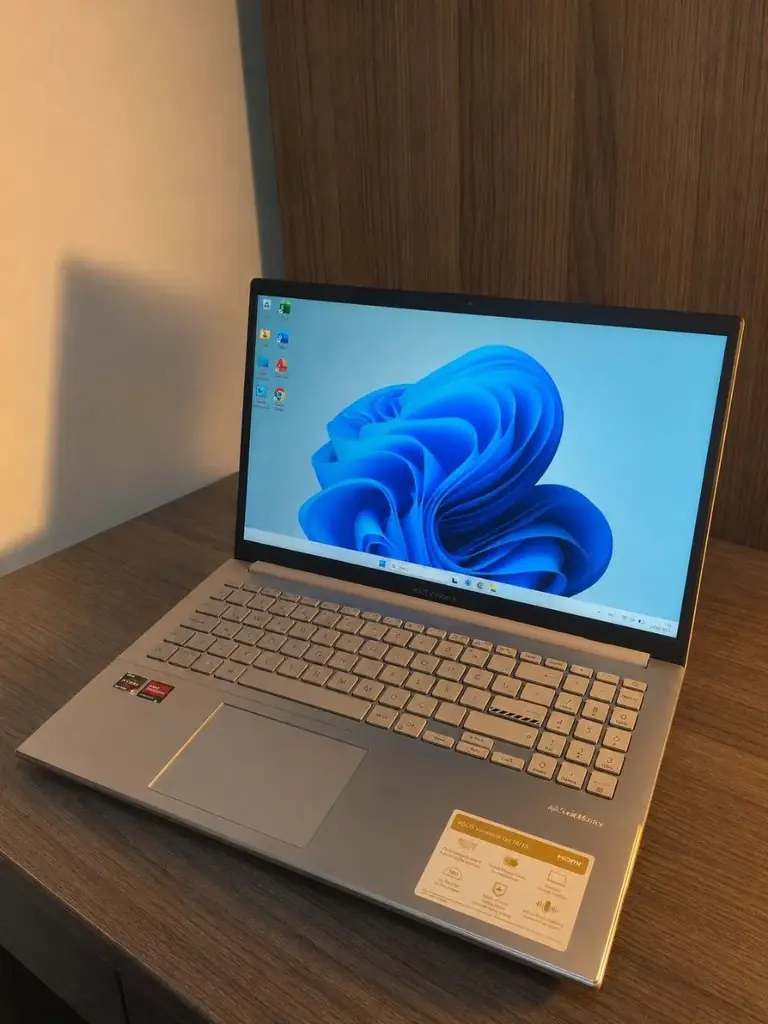 Asus Vivobook Go 15