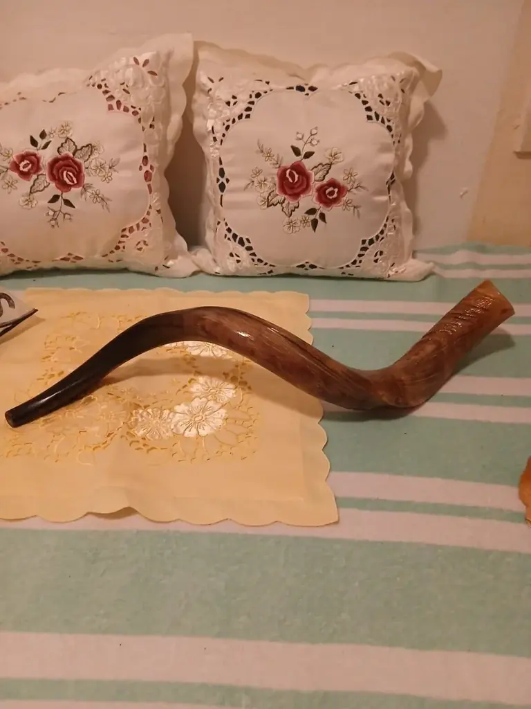25 €, Бараний рог в идеальном состоянии.