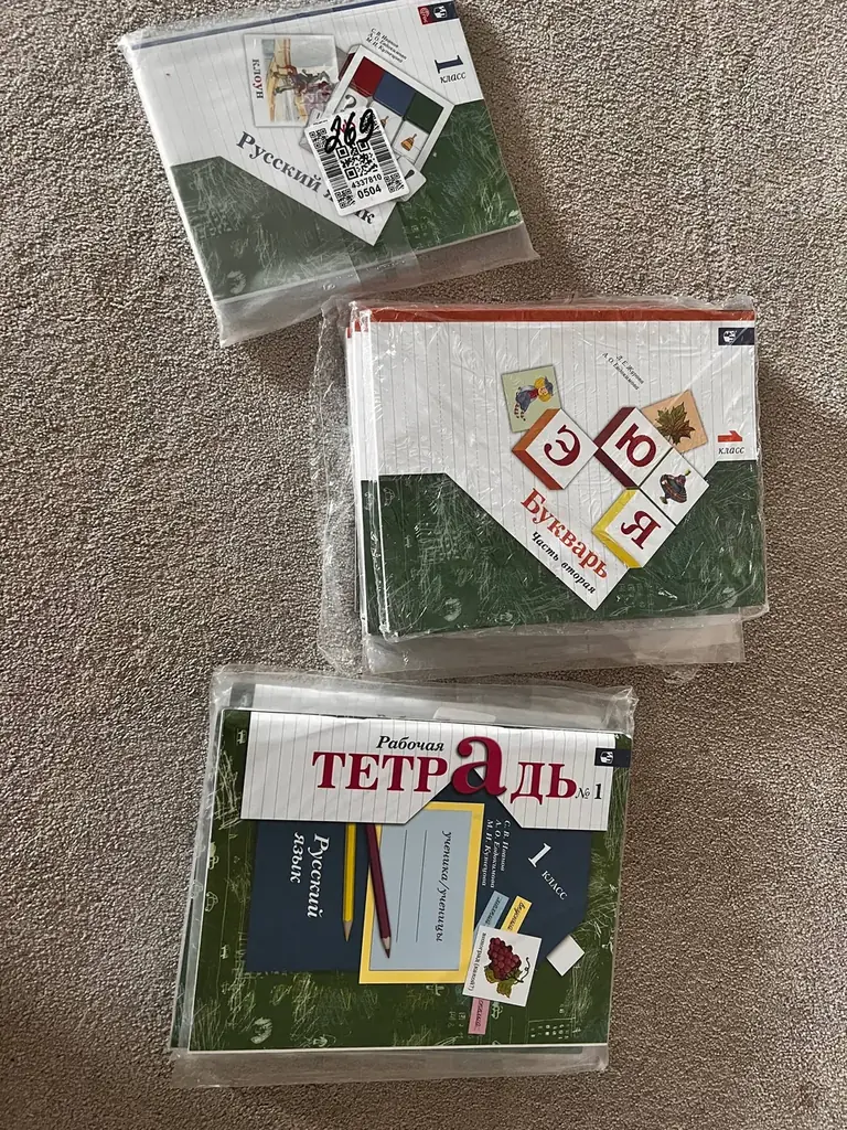 Учебники и прописи для русской школы.