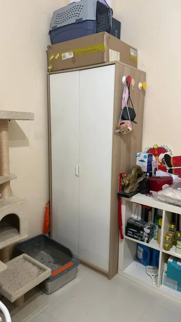 2 Cabinet for sale 100 and 150 only