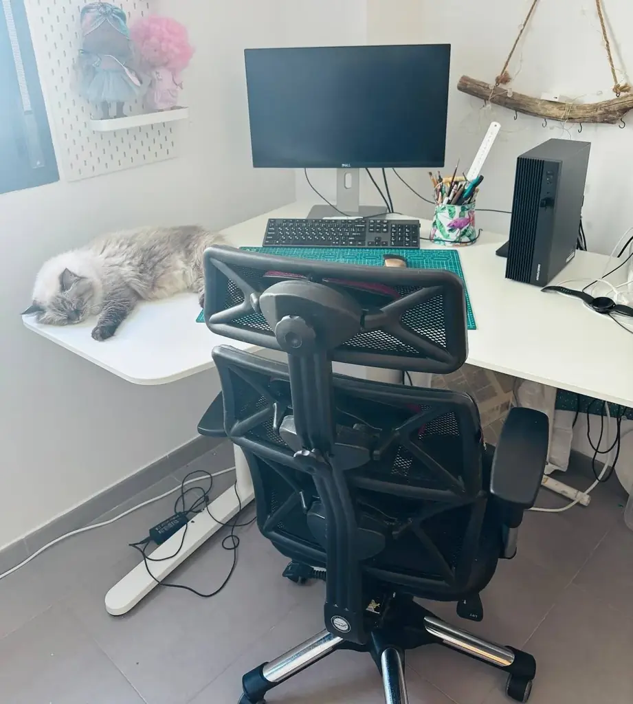 🏷️ Продаю угловой стол IKEA Bekant 160x110, белый