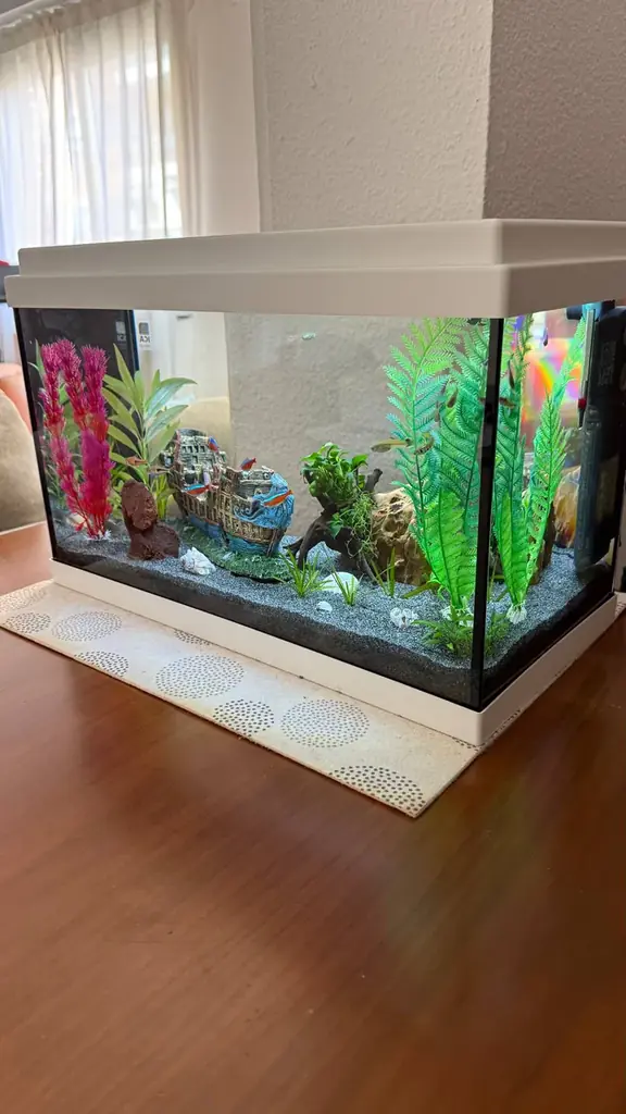 🐠 Продаём аквариум ICA Aqua LED 33 л с рыбками и оборудованием — 150 €