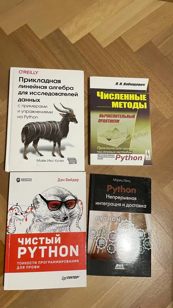 Список №4 — Книги по Python и Data Science