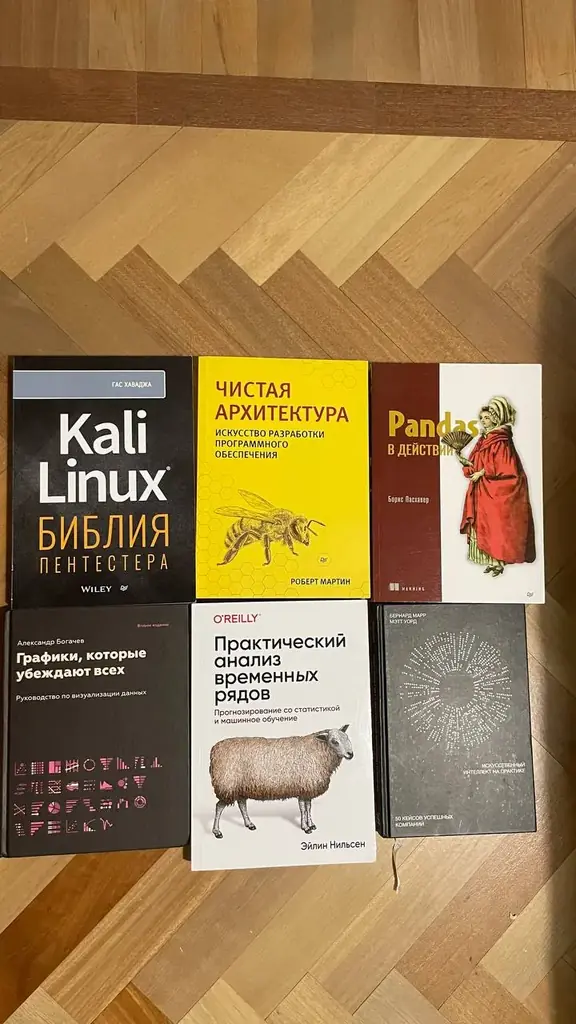 Список №5— Книги по IT, Data Science и ИИ