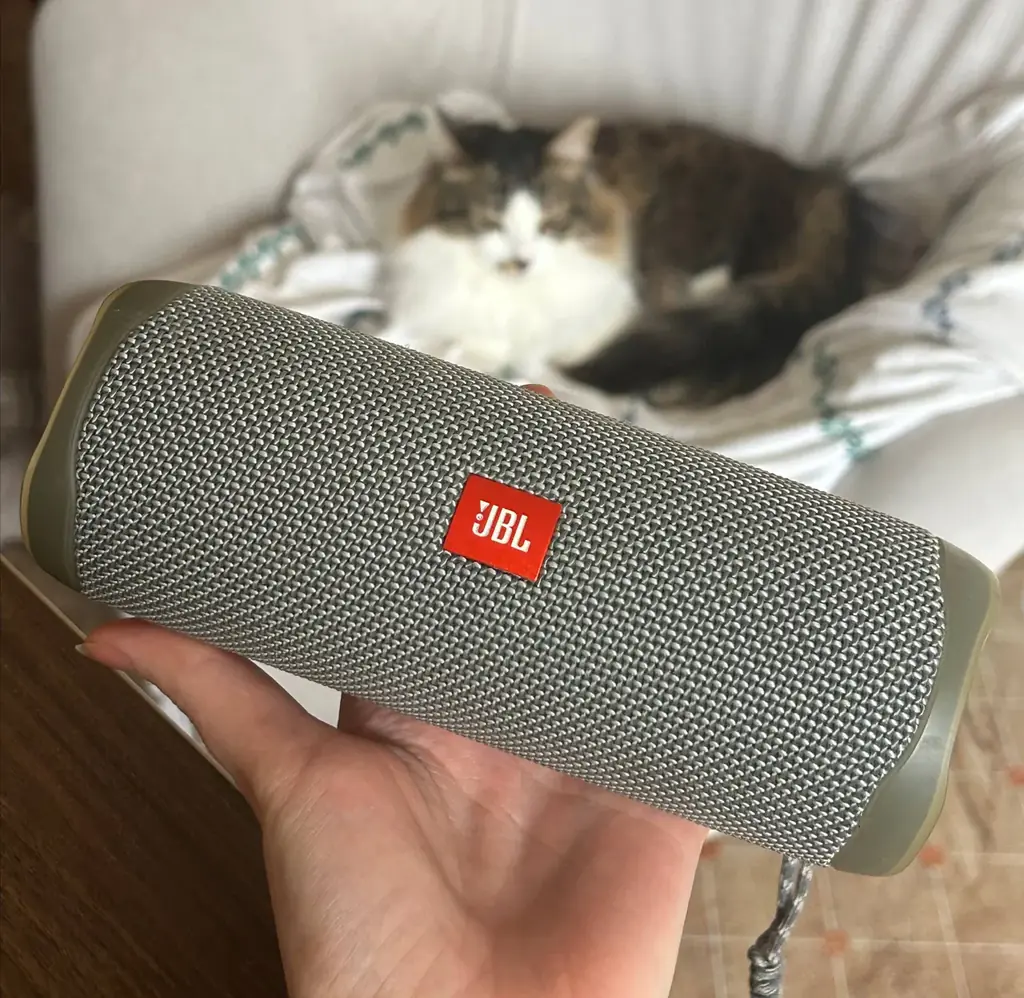 🤑Продам  JBL FLIP 5 Wireless Bluetooth Speaker