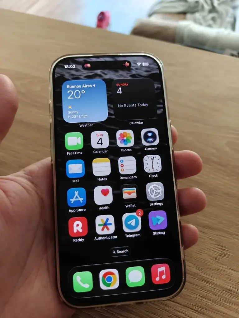 iPhone 16 Pro 256 ГБ