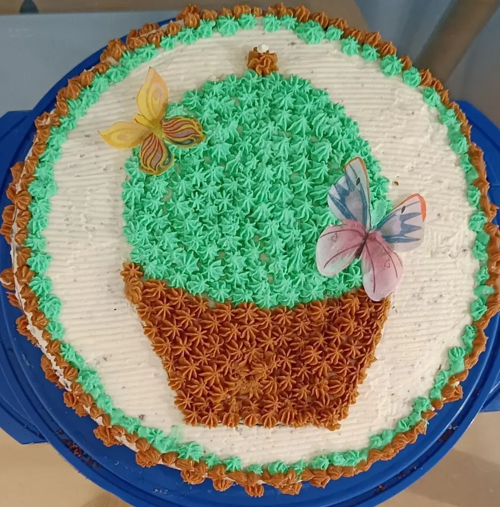 Пеку домашние торты на заказ 🎂