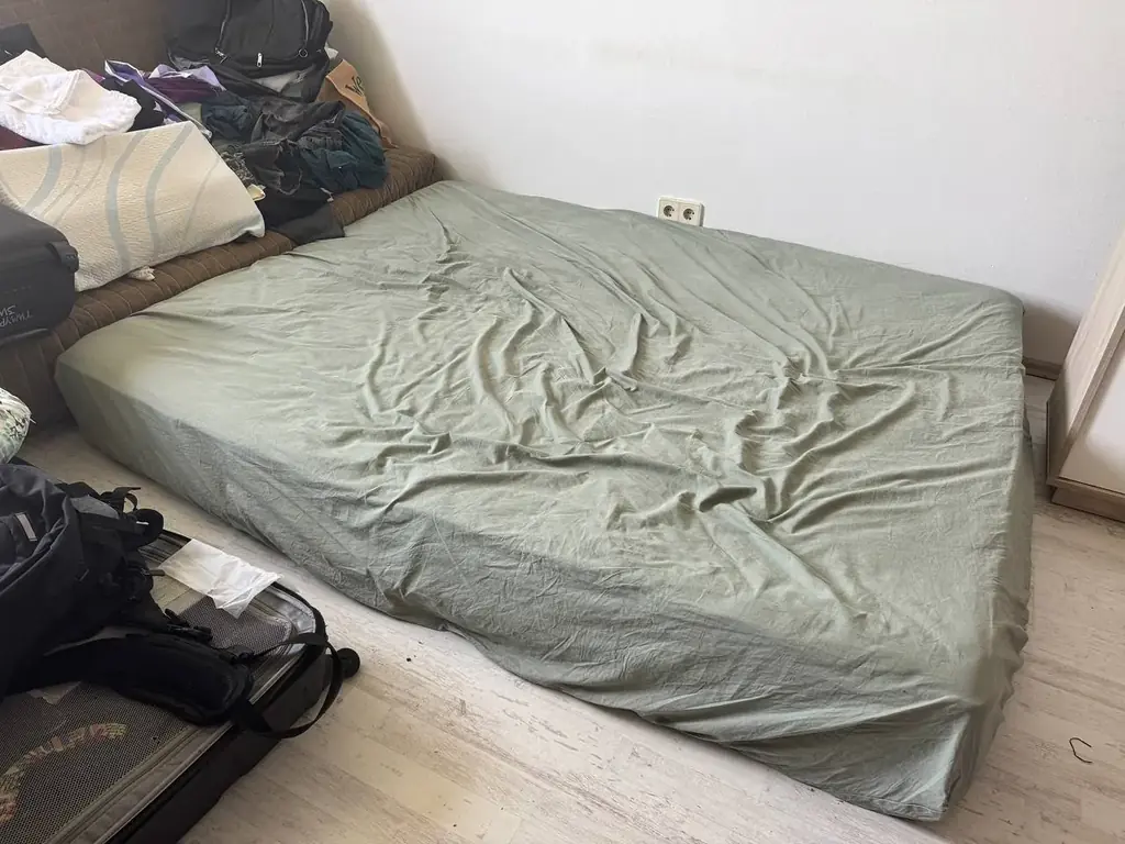 Бесплатно