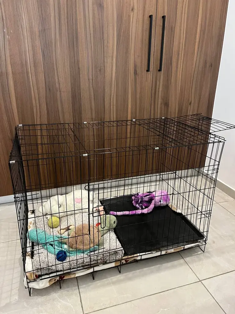 Клетка, вольер для щенка XS-S size в хорошем состоянии