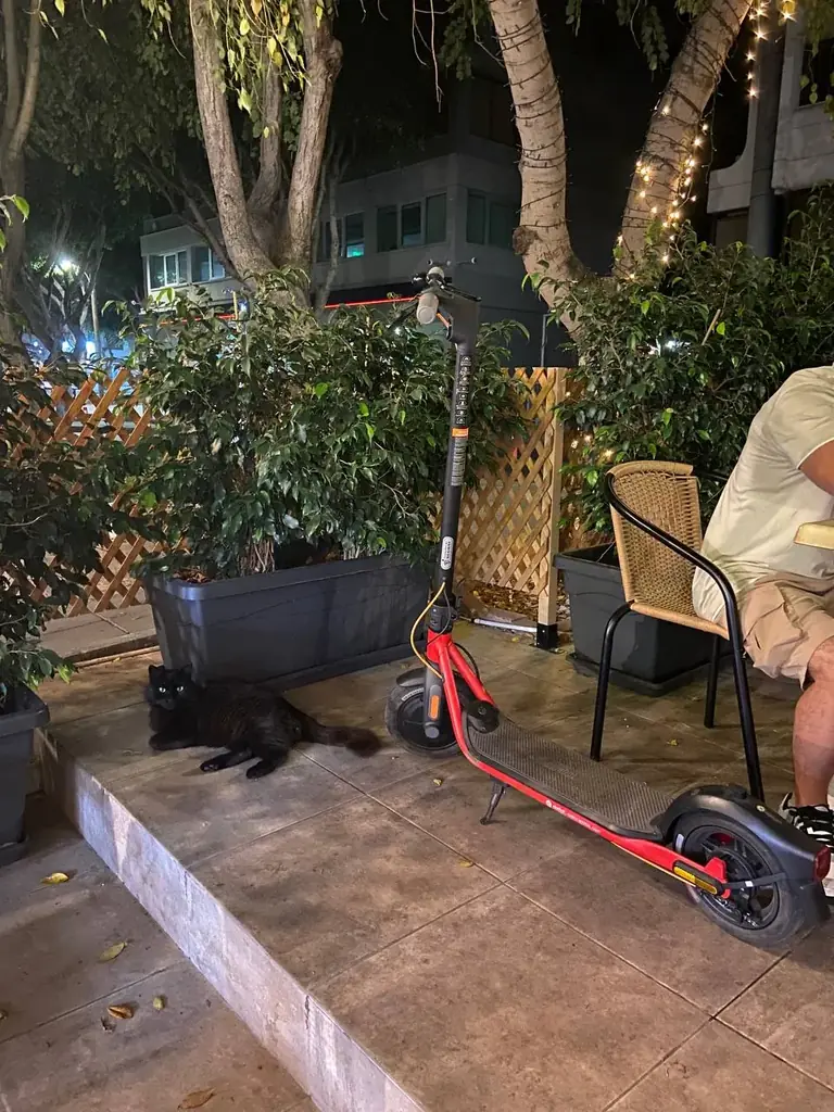 Продам Electric scooter SEGWAY NINEBOT D28E ,состояние новый