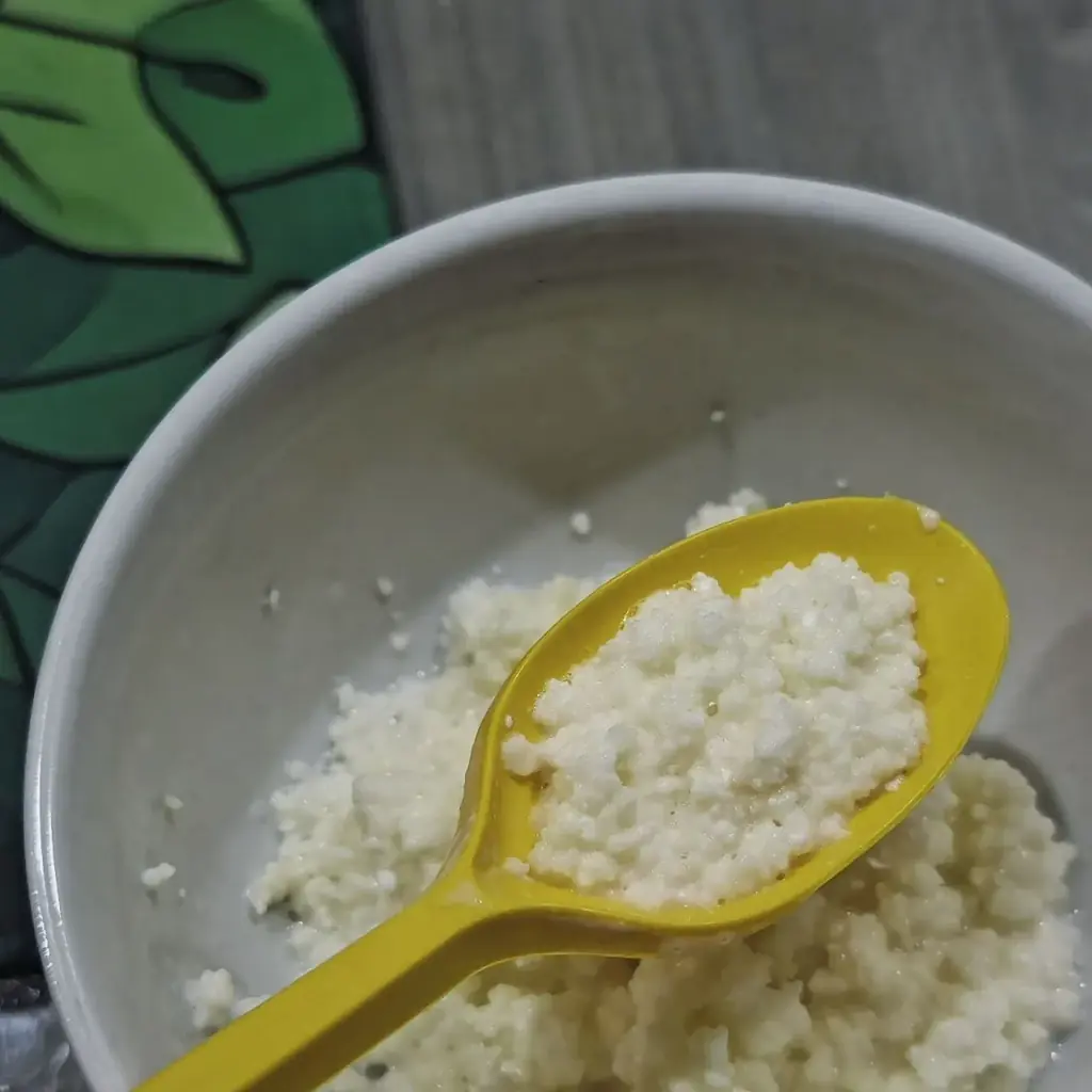 Продаю Кефирный гриб.