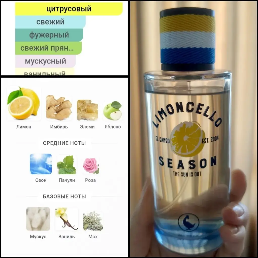 El Ganso. Limocello season