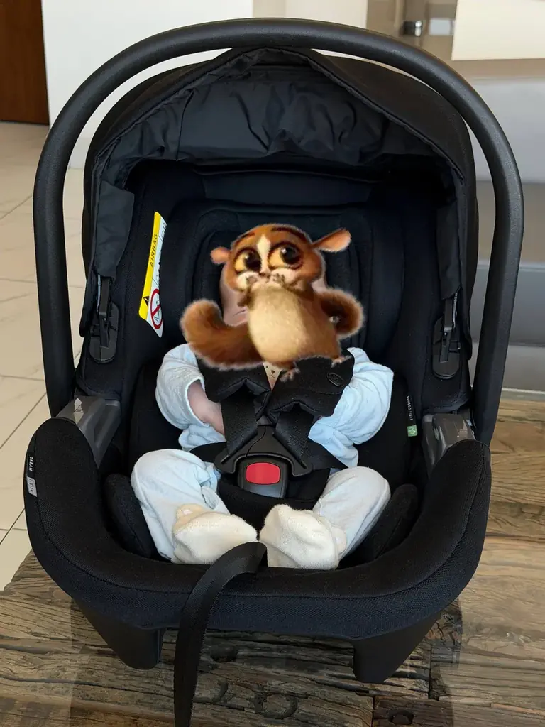 Автолюлька Silver Cross Dream i-Size + ISOFIX-база — 1 200 AED