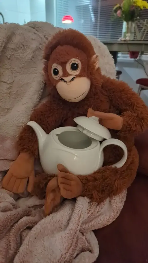 FREE teapot. Monke approved. Monke not included.