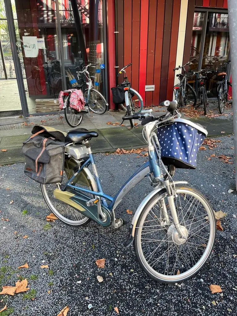 Selling electric bike