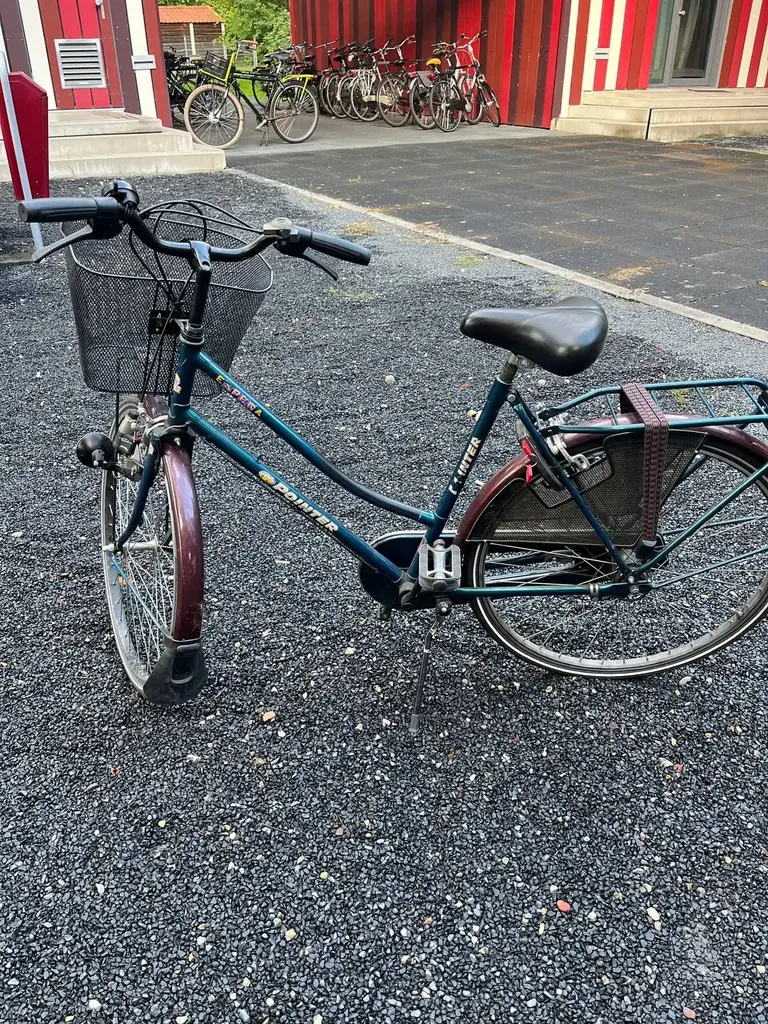 Selling bikes, on campus