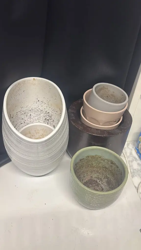 Pots for free to take
