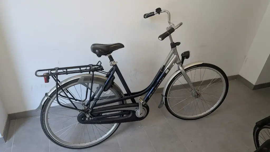 Selling this single speed bike with pedal brakes and automatic front light. Was kept inside so it's…