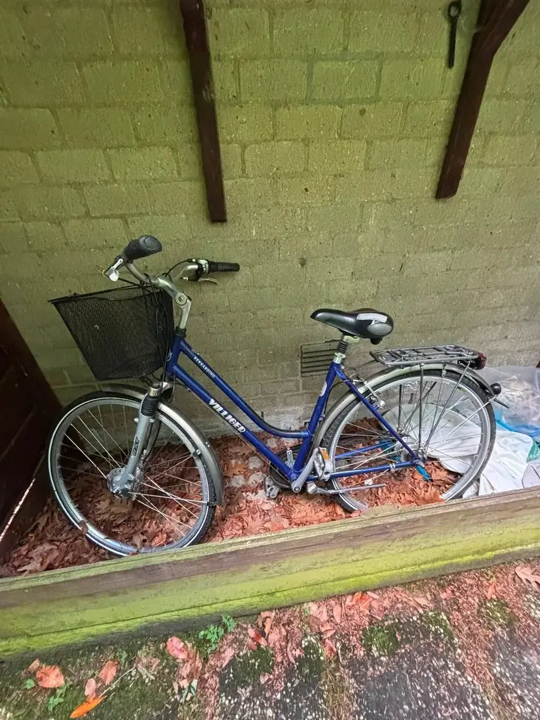 bike on campus with extra seat for 60€ (