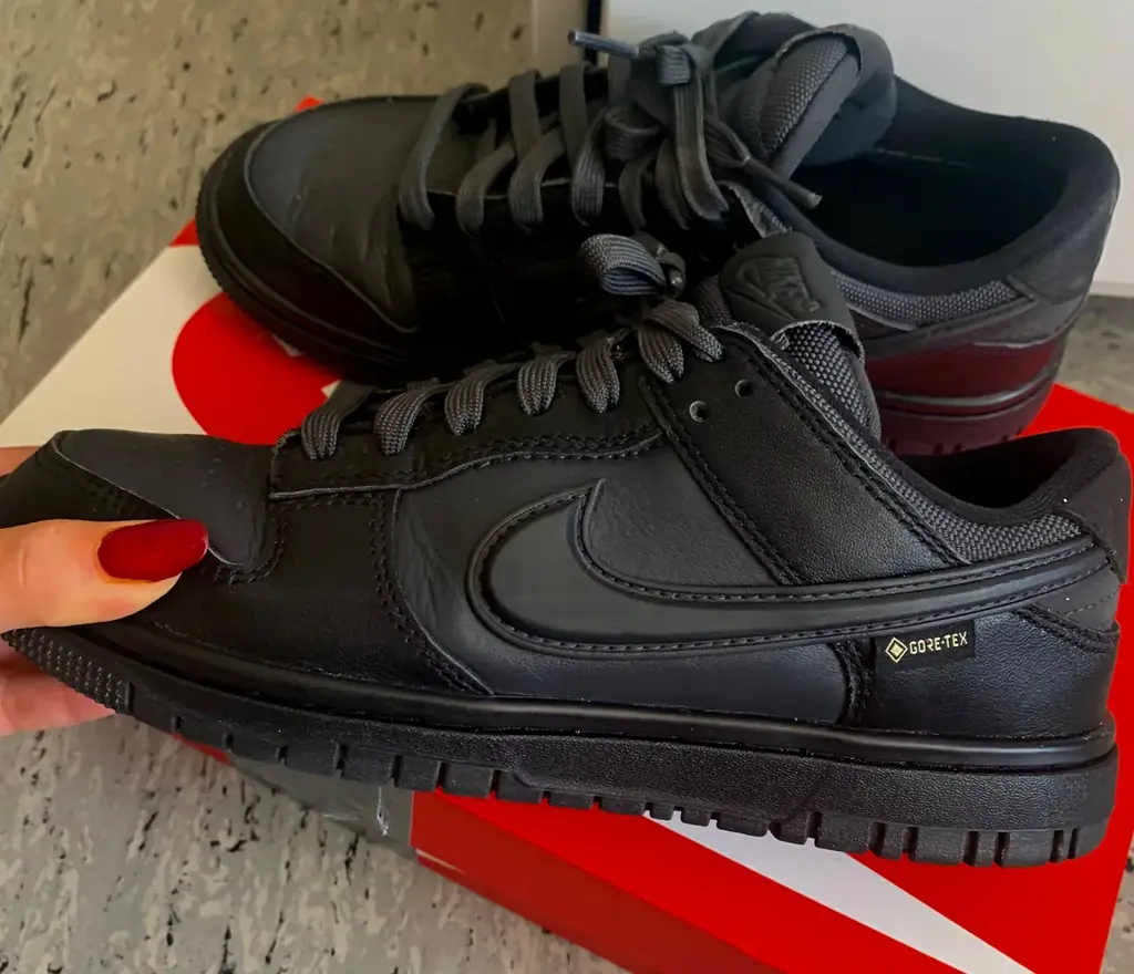 🖤 Nike Dunk Low GTX — 65 € 🖤