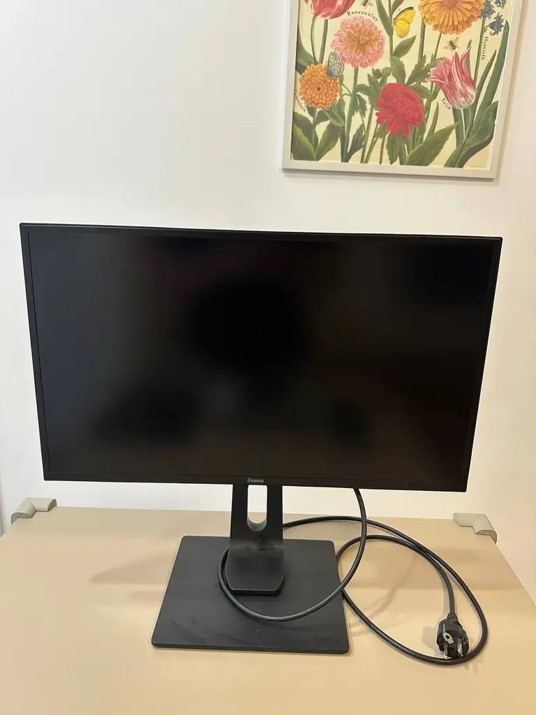 Продаю монитор iiyama ProLite 24 XB2481HS-B1.  Состояние идеальное