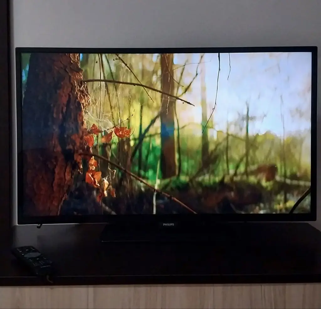 Продам телевизор Philips в идеальном состоянии за 25 евро.