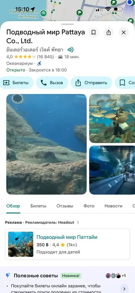 Кто нить хочет сходить в аквариум бесплатно? Есть 2 билета. Купила не туда (( они не возвратные