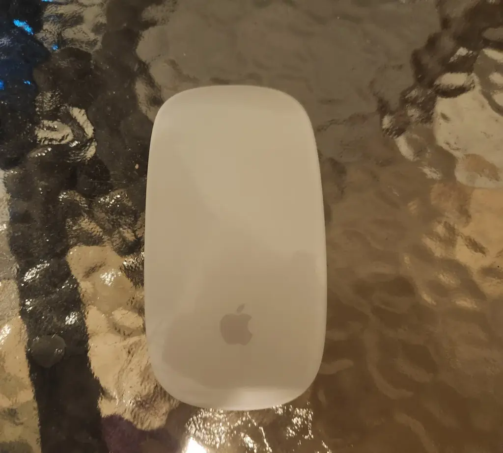 Apple Magic Mouse.