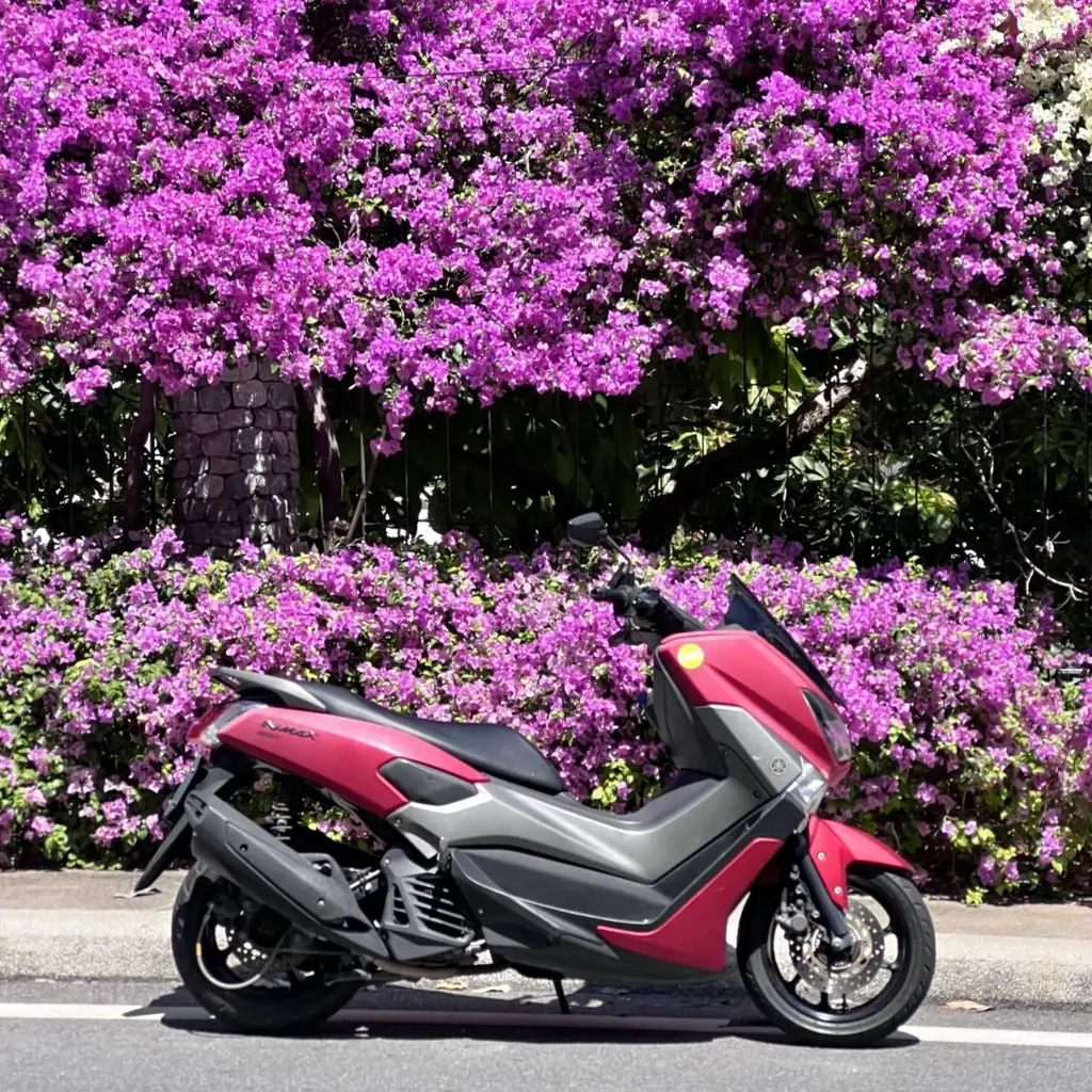 🛵 FOR SALE: Yamaha NMAX 155 – 33,000 THB