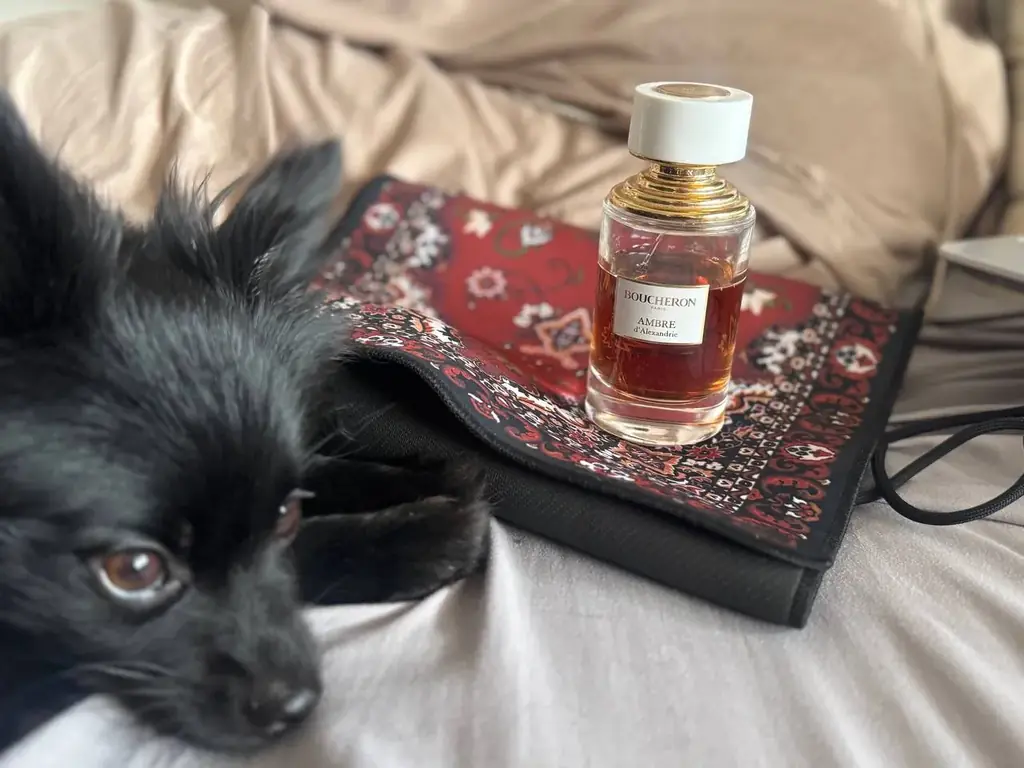 Boucheron Ambre d’Alexandrie