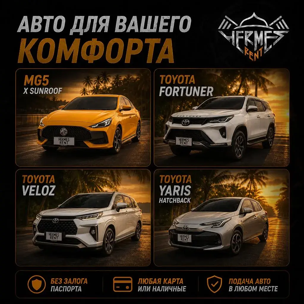 🤩 Доступны к аренде прямо сейчас! 🤩