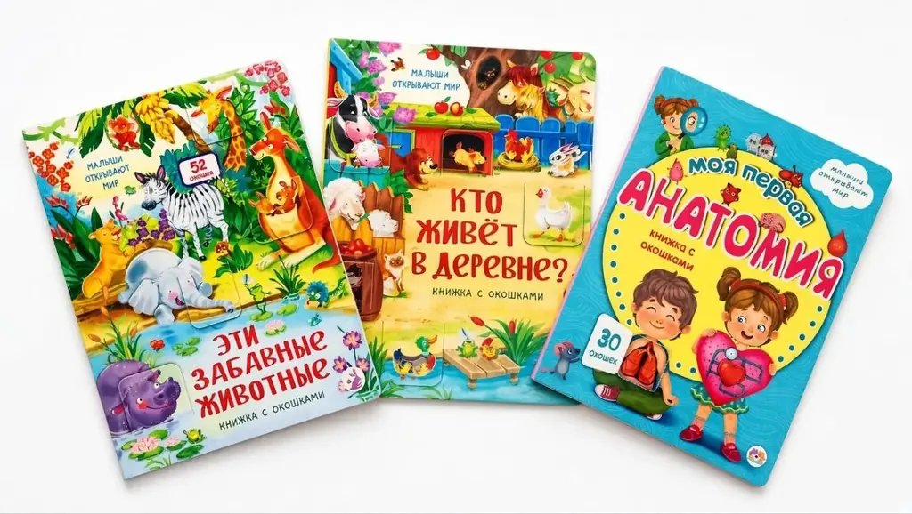 Книги с окошками
